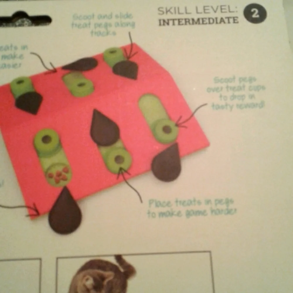 Cat Toy Melon Maddness Puzzle & Play Cats NO BOX MEOWY NICE FINAL SALE F…